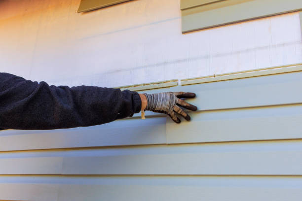 Best Custom Siding Design  in San Jacinto, CA